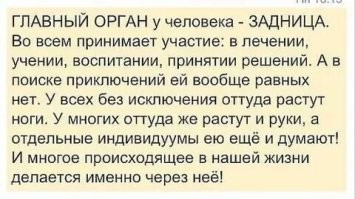 Большая тарелка позитива