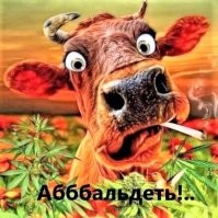 Да ну!