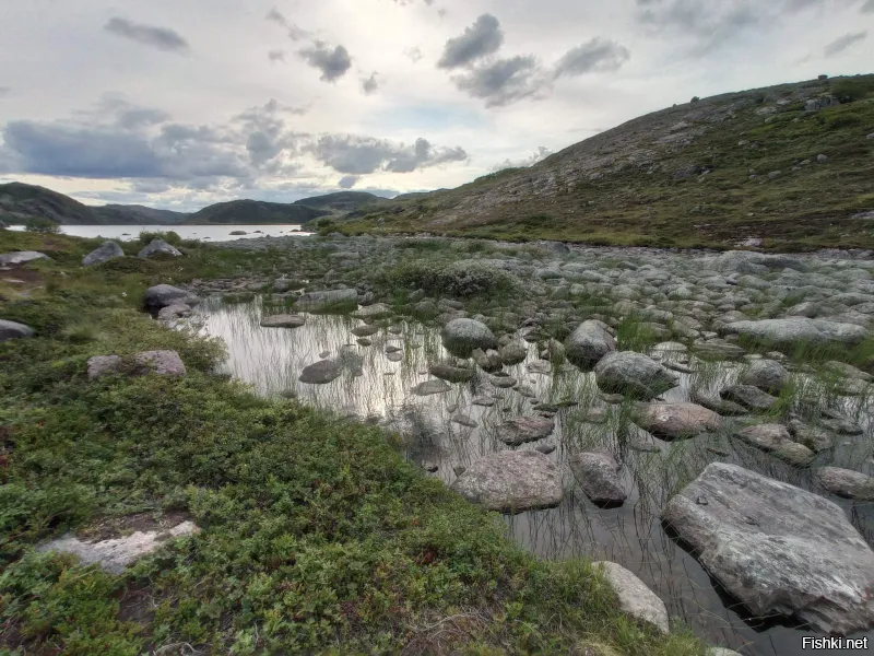 Солянка от 07.12.2025