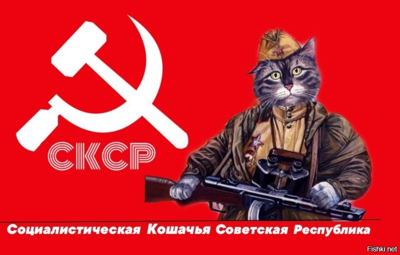 Солянка от 07.12.2025