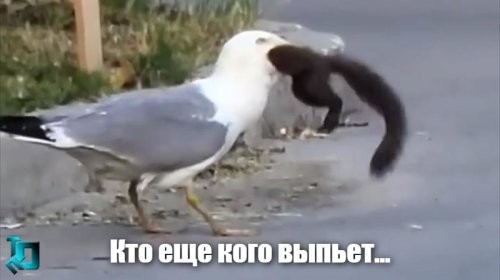 Солянка от 08.12.2025