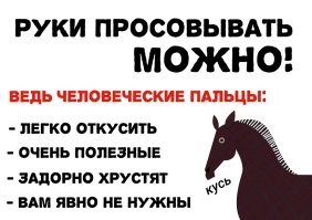 На Мальдивах акула чуть не откусила пальцы девушке