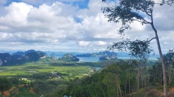 Таиланд. Снимок мой, месяц назад. Кэмерон тут вдохновлялся на съемки Аватара (по словам гида). Ну в принципе и экскурсия называлась путь Аватара...