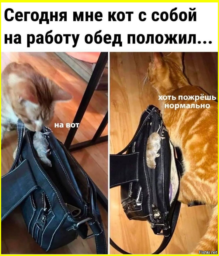 Солянка от 08.12.2025