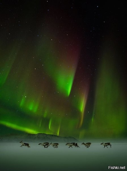 Сияние справа.