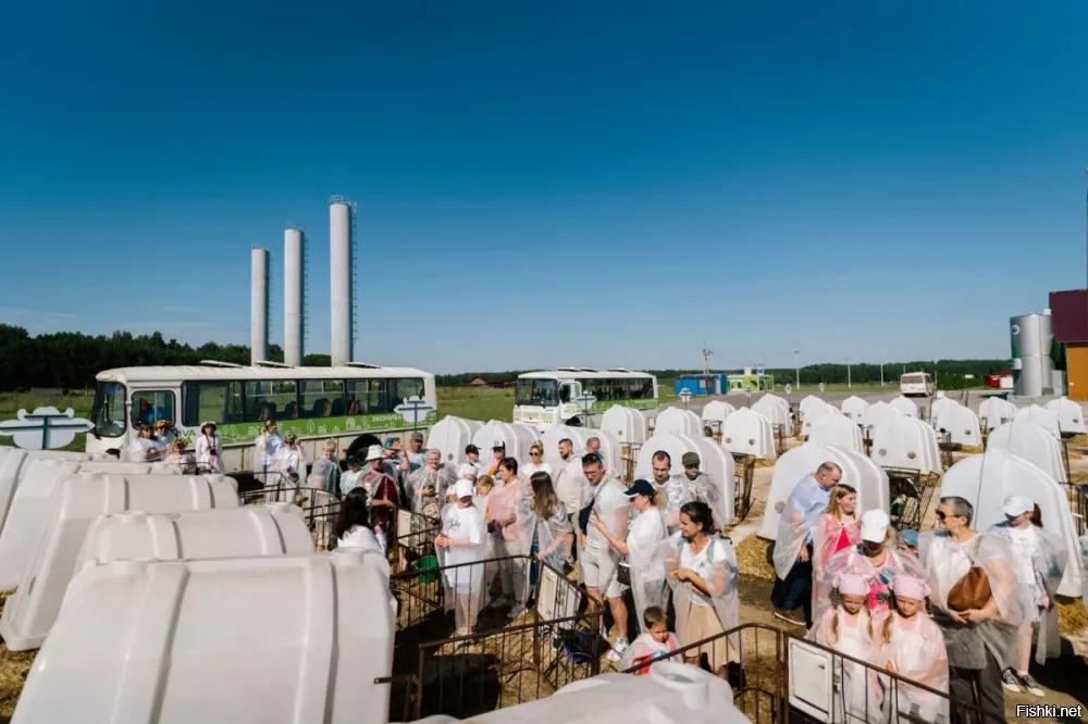 Надо же. На фото Эконива под Калугой. С домиками для телят. Там регулярно проводят экскурсии . И я также ездил туда с внуками.