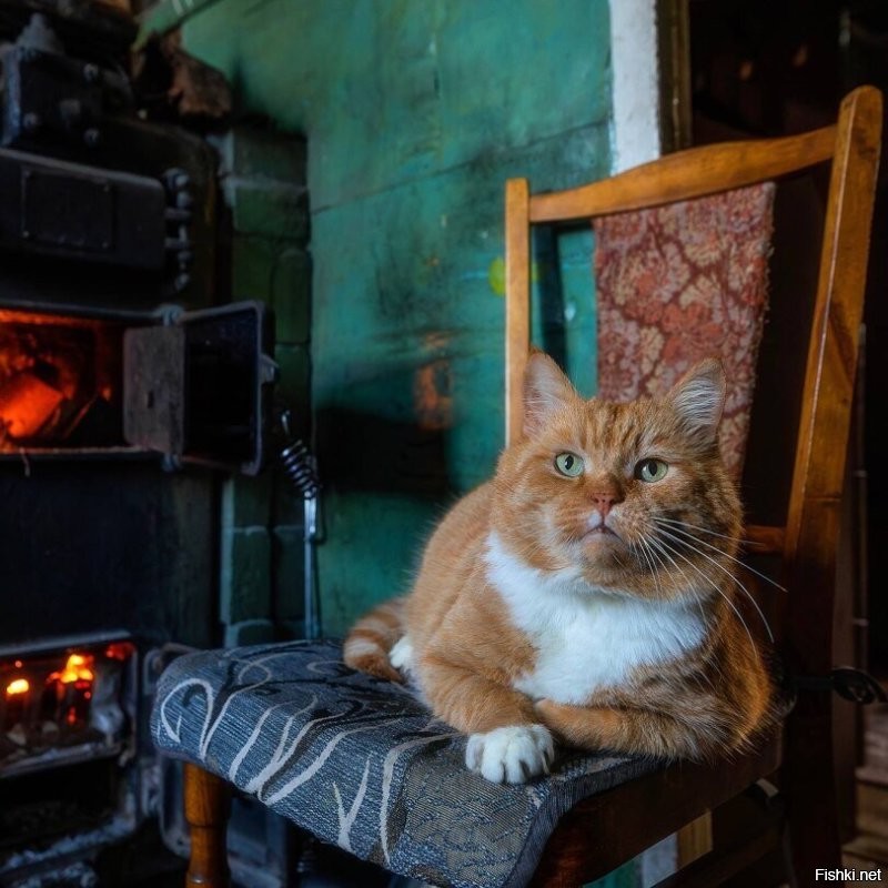 Солянка от 08.12.2025