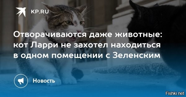 Политическая солянка. Часть 360