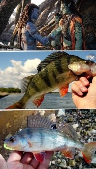 14 картинок, которые сводят с ума