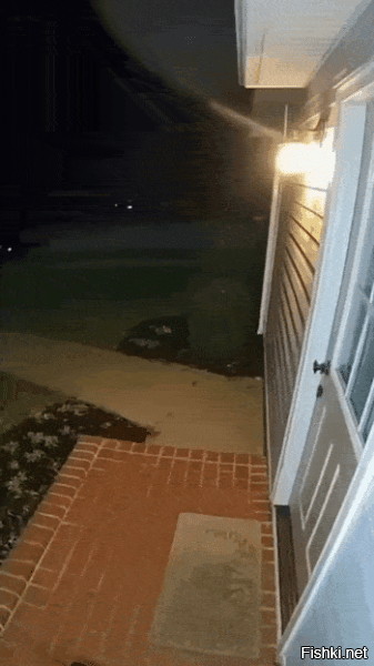 Хоть и синтетика, но там в реале дома из говна и палок.