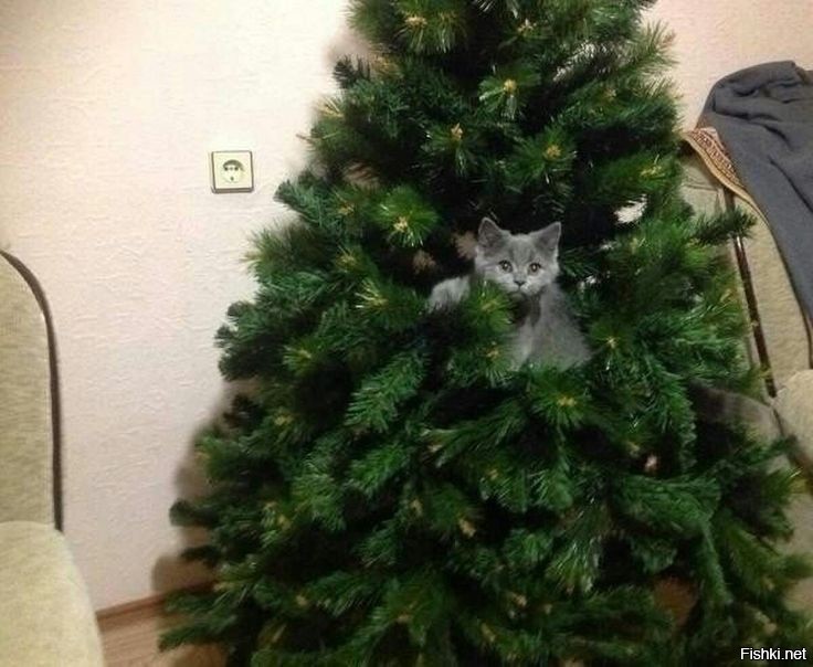 Новогодняя елка для котов
