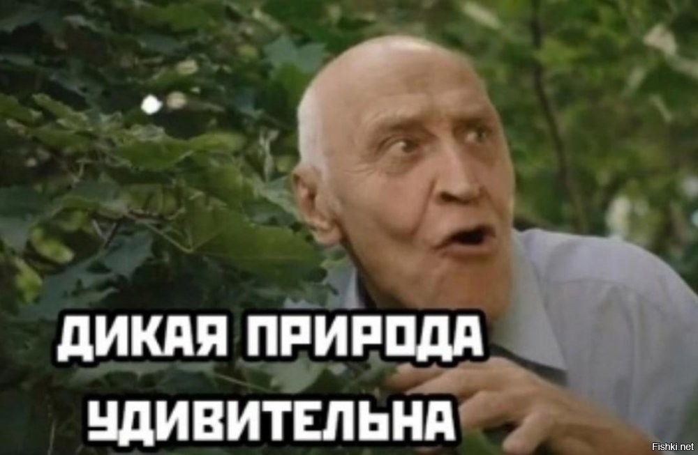 Когда сила встречает ловкость