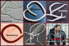 В Новосибирске табор цыган отправили в СИЗО за хищение выплат участников СВО