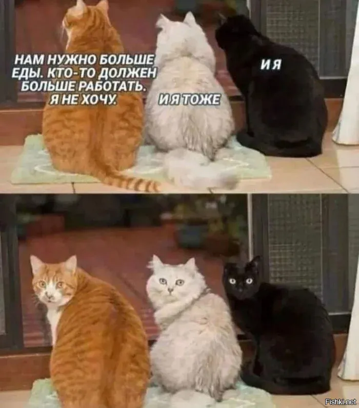 Солянка от 09.12.2025