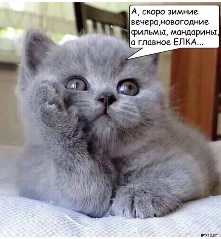 Доброго утра