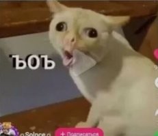 Северокорейские мобилы и их защитные функции
