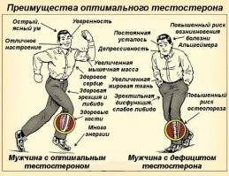 Не "высасывает энергию", а вырабатывает тестостерон.
