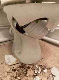 Кота явно хотят подставить!