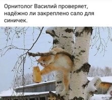 Белорус обиделся на увольнение и украл со склада предприятия две тонны сала