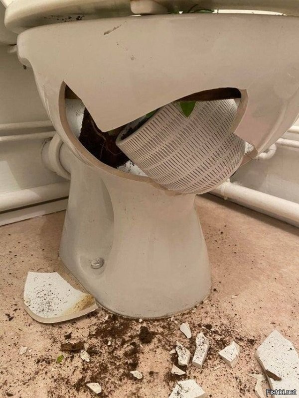 Кота явно хотят подставить!