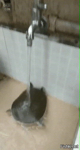 Просто гифки, всякие и&nbsp;разные