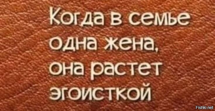Солянка от 09.12.2025