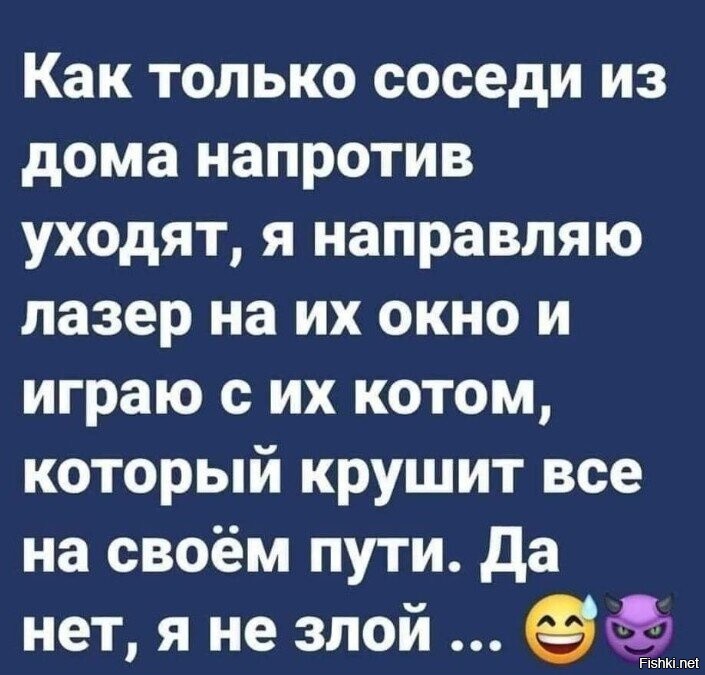 Хозяин кота развлекает питомца с помощью проектора