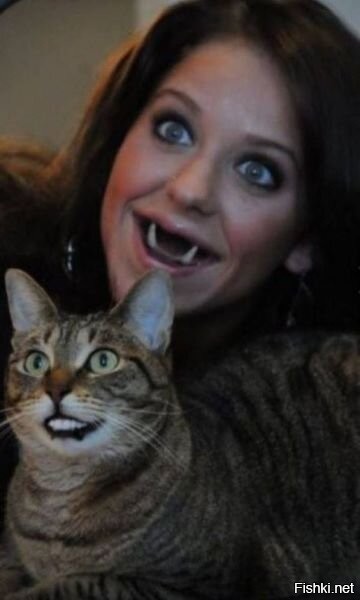 20 проверенных приёмов кототерапии, которые избавят от стресса и подарят заряд энергии