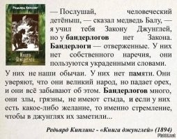 Политическая рубрика от&nbsp;NAZARETH за&nbsp;09.12.25. Новости, события, комментарии - 1950