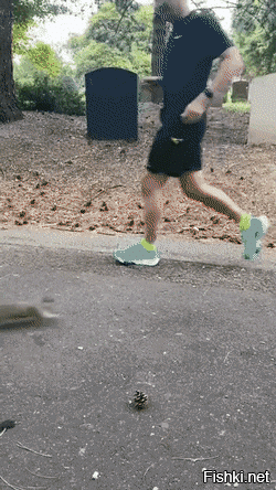 Просто гифки, всякие и&nbsp;разные