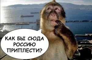 Интересно, как скоро режим ссаныманду начнет тарахтеть, что и это тоже происходит по вине России?