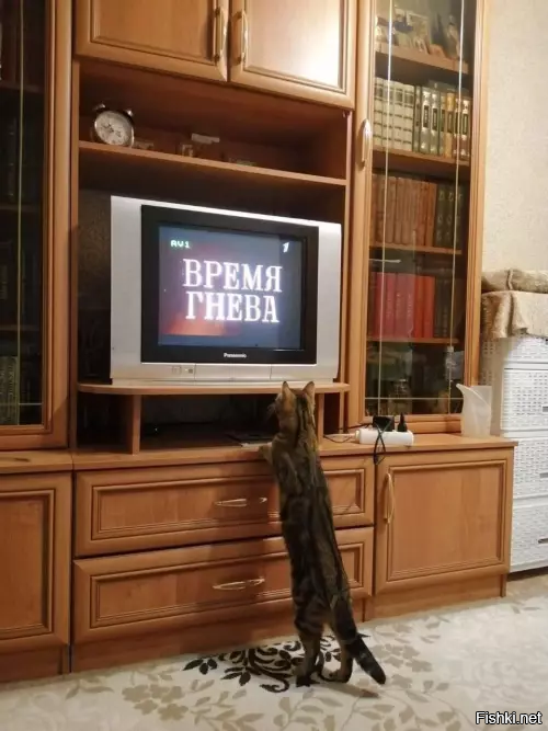 Солянка от 10.12.2025