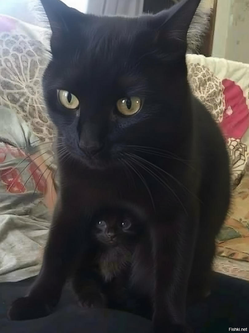 Доброе утро