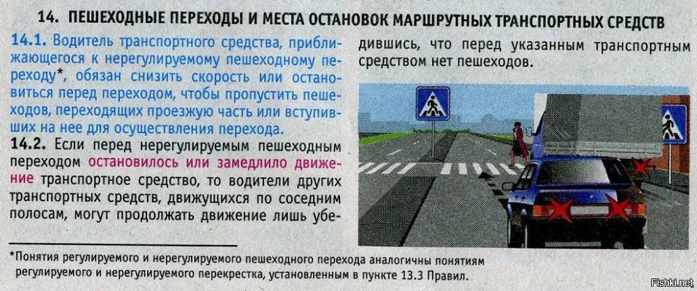 Пытался проехать по пешеходному переходу на велосипеде