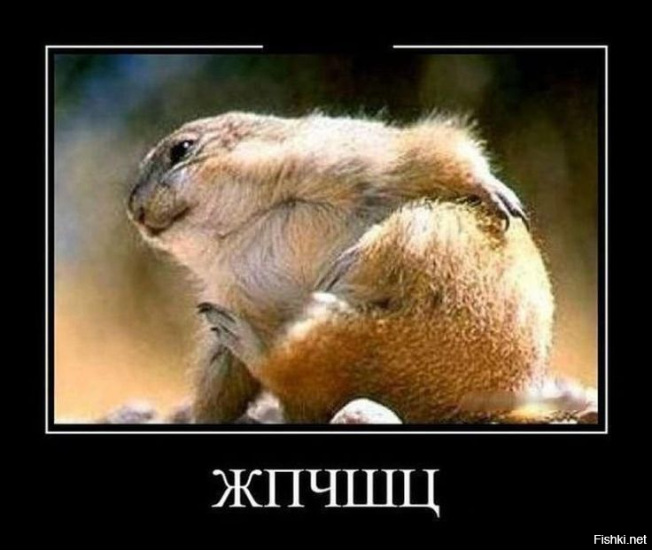 Ловите ритм