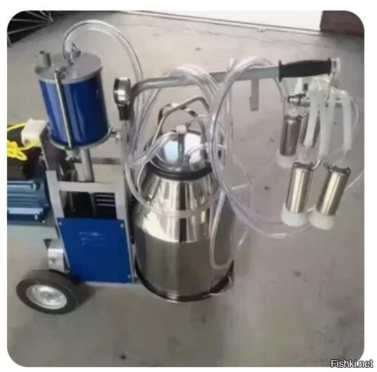 Не ищите здесь смысл. Здесь в основном маразм