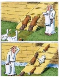 Помесь померанского шпица и хаски