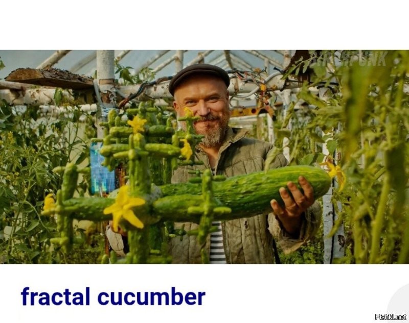  Намешалось 