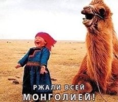 Лишь о политике , лишь о ней
