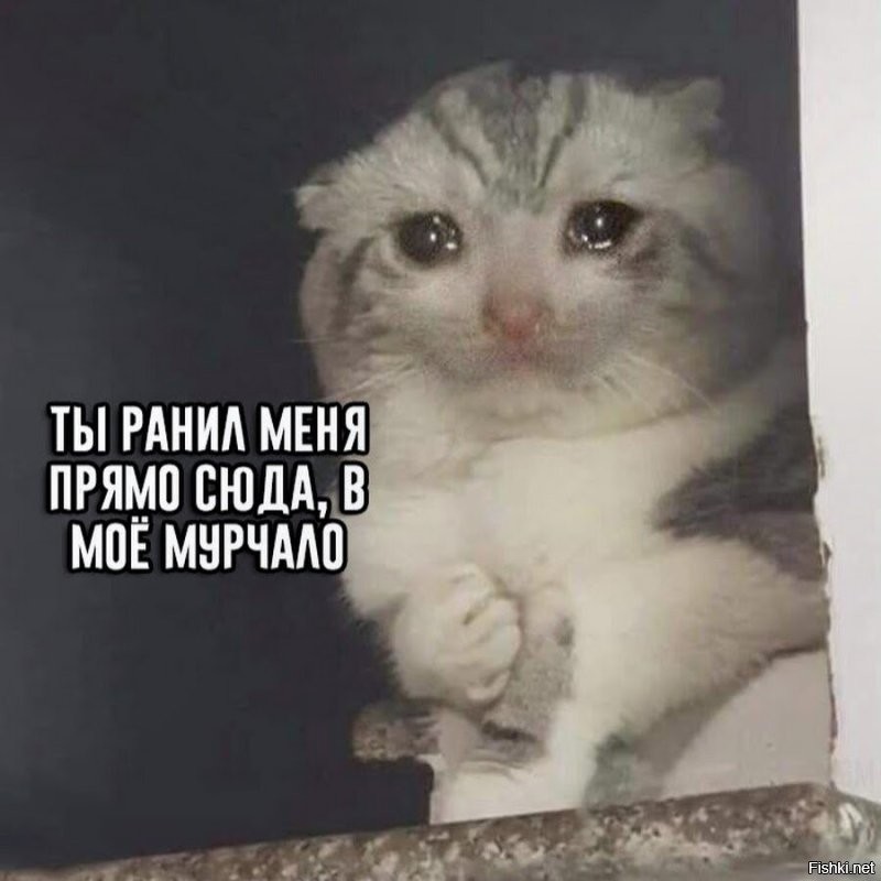 Бренд Valentino представил уникальное платье с котом