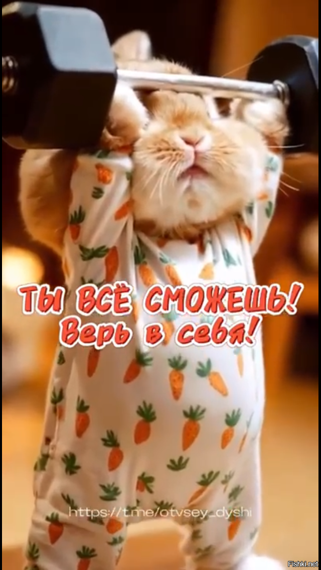 Доброе утро. Ждём народные приметы а их всё нет.