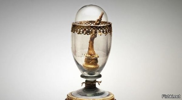 1. В 1797 году средний палец правой руки Галилео Галилея был удалён во время переноса его тела в мавзолей. Теперь он помещён в стеклянное яйцо и указывает на небо в Музее Галилея во Флоренции, Италия



Член Распутина указывает на Землю.