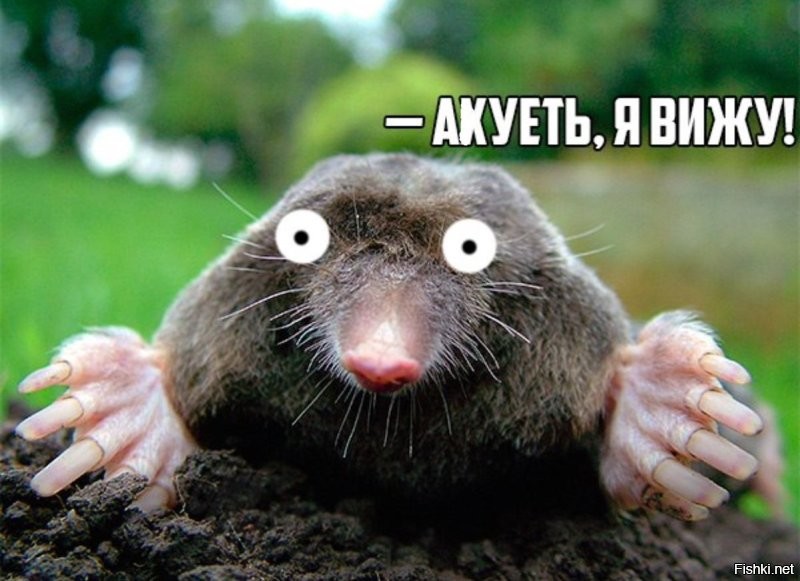 Торопыга врезался в стеклянную дверь