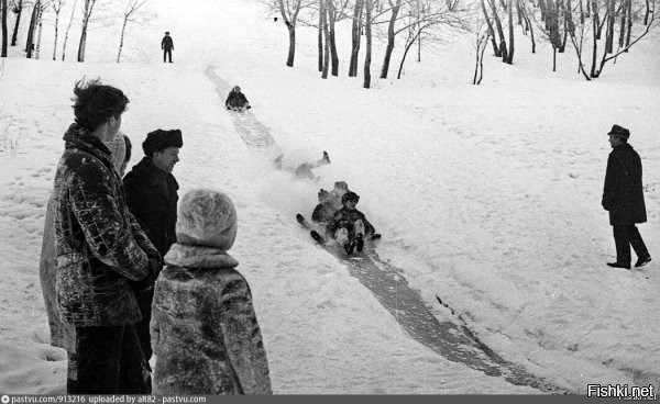 Каникулы, 1978 год
)))