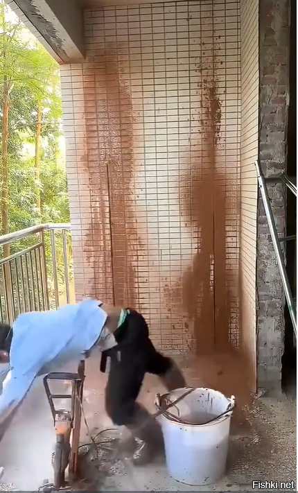 Как ему кишки не намотало?!