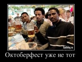 В России предложили ввести аналог Октоберфеста