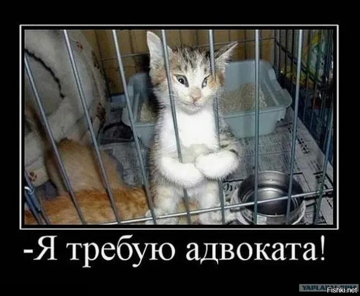 А вдруг ты не знал…