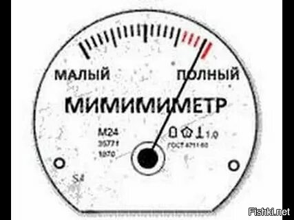 Кафе с капибарой и кошками в Токио