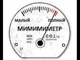 Кафе с капибарой и кошками в Токио