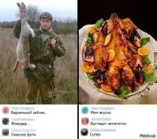 Зоошиза в своём репертуаре